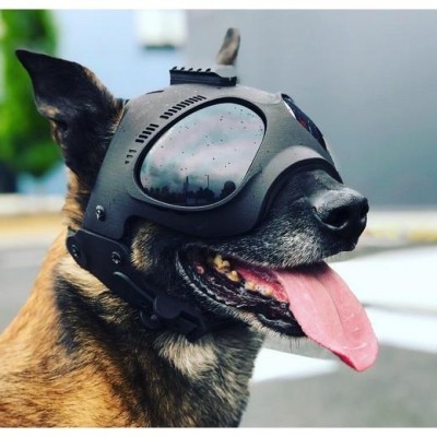 Capacete de proteção tático para cães K9 MORIN PRO
