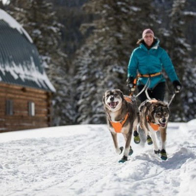 Arnes OMNIJORE JORING