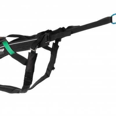 Arnês Non-stop Dogwear Freemotion