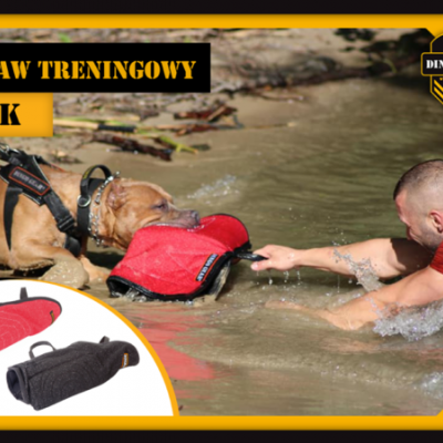 Manga Curta JACK DINGO GEAR