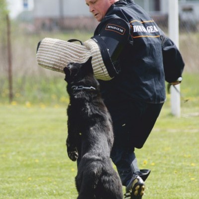 Proteção Auxiliar de Braços DINGO GEAR