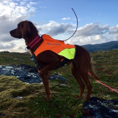 Colete PROTECTOR GPS da NON-STOP Dogwear