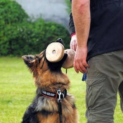 Halter de madeira com corda para treino DINGO GEAR