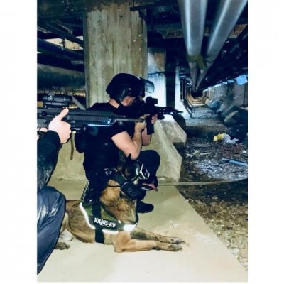 Câmera de bordo K9 VISION SYSTEM