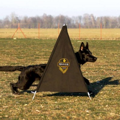 Tenda Esconderijo mini aro para treino DINGO GEAR