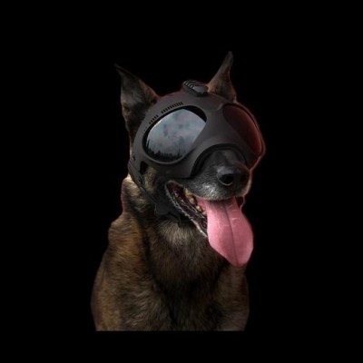 Capacete de proteção tático para cães K9 MORIN PRO