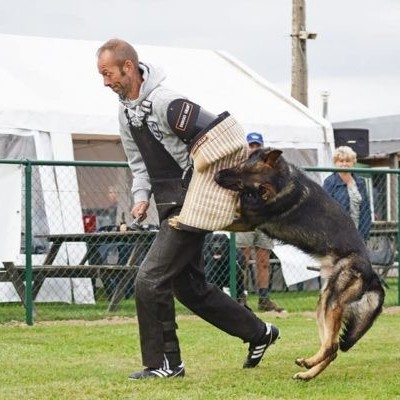 Manga Protetora para Auxiliar com Mordedor Grosso e Macio DINGO GEAR