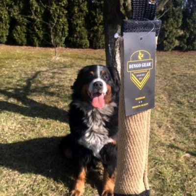 Churros de mordida em Jute DINGO GEAR