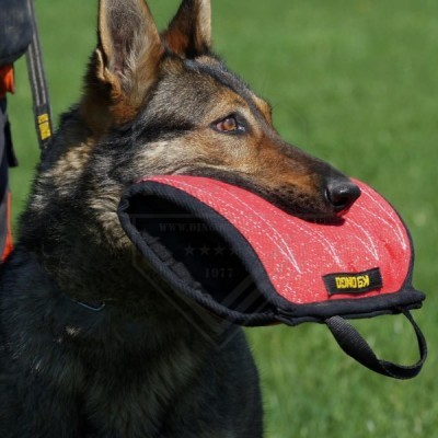 Cunha/Manga - mordedor de cachorro feito de material francês DINGO GEAR