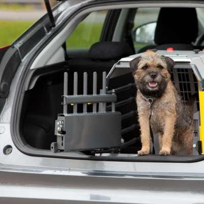 Caixa de Transporte Variocage Compact MIMSAFE