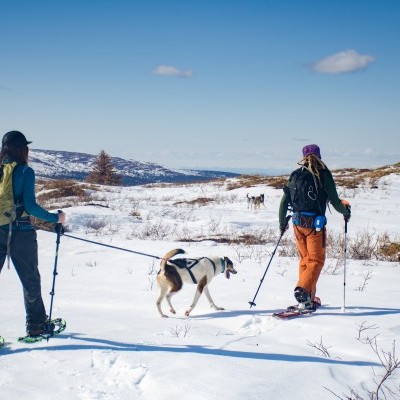 Cinto Non-stop Dogwear Ferd Belt