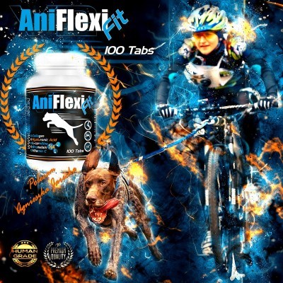 ANIFLEXI FIT V2 Tabs