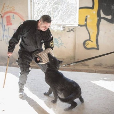 Manga de Treino ATOS em Jute DINGO GEAR