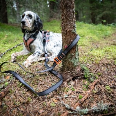 Trela TOURING BUNGEE ADJUSTABLE da NON-STOP Dogwear