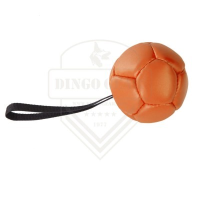 Bola de couro ecológico 18cm com pega DINGO GEAR