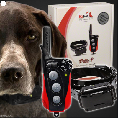 Dogtra iQ Plus