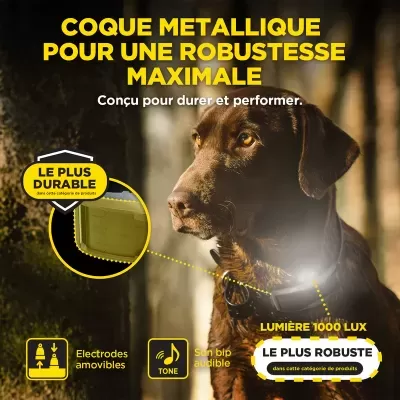 Dogtra 1200X 1 Cão (1900X) Versão UE