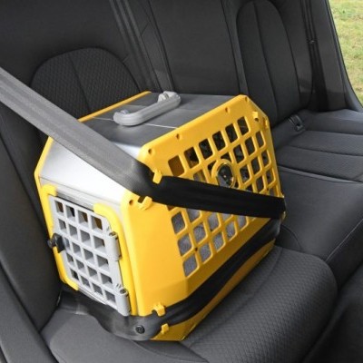 Caixa de Transporte Portátil Care2 MIMSAFE