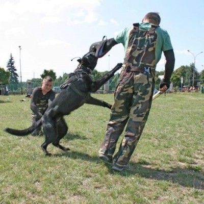 Fato de proteção  super leve RIP-STOP DINGO GEAR