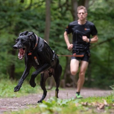 Arnês Non-stop Dogwear Freemotion