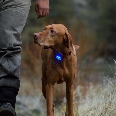 Luz de segurança BEACON