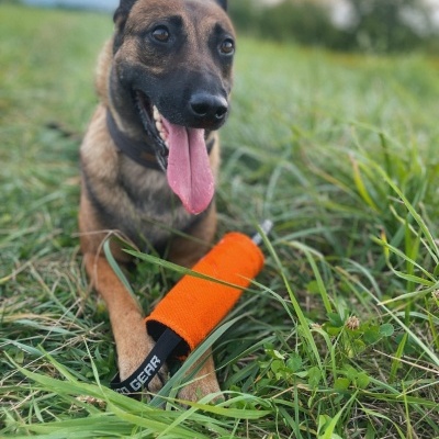 Rolo com duas pegas 15x8cm