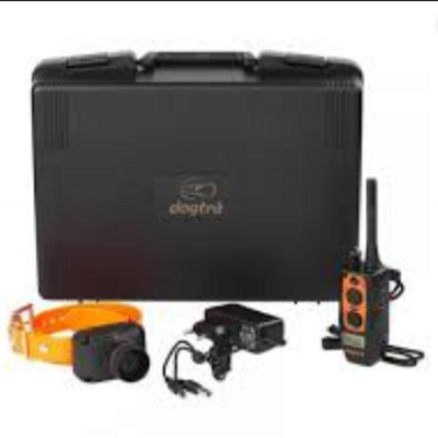 Dogtra 2600 T&B (Beeper)