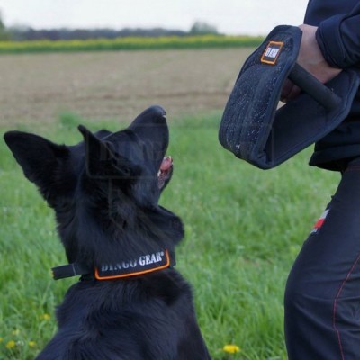 Cunha de mordida em material francês  GIZMO DINGO GEAR