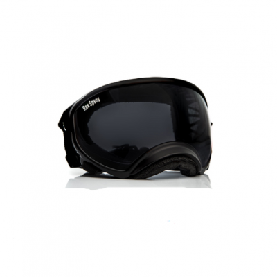 Rex Specs Preto/Smoke