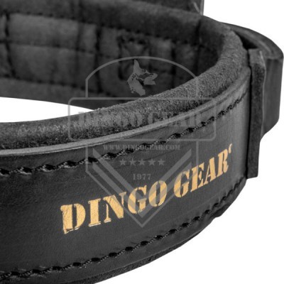 Coleira de couro com pega DRAGO DINGO GEAR