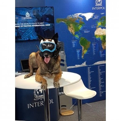 Câmera de bordo K9 VISION SYSTEM PRO