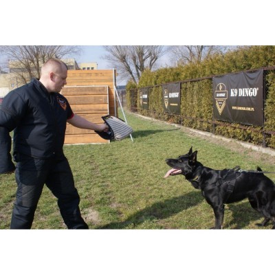 Manga  de Treino Curta FRED DINGO GEAR