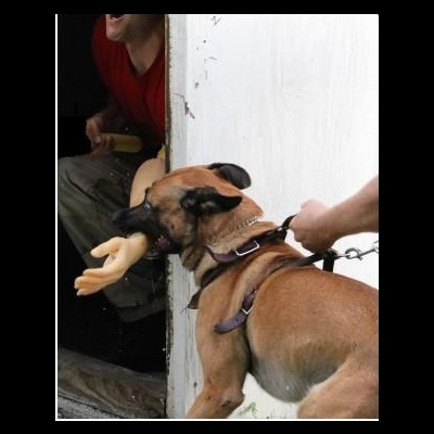 Braço batom falso EXTREME K-9