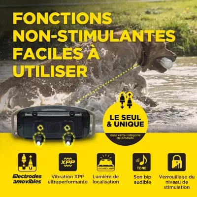 Dogtra 1200X 1 Cão (1900X) Versão UE