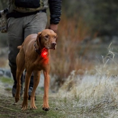 Luz de segurança BEACON