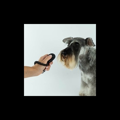 Clicker com elástico