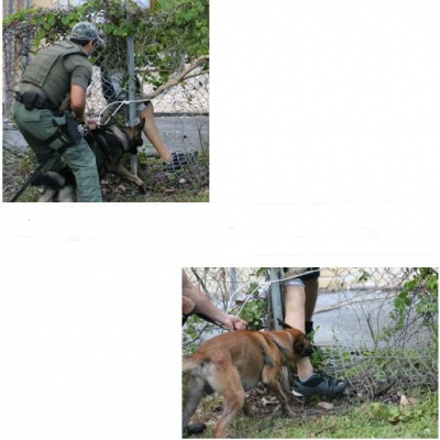 Perna falsa EXTREME K-9