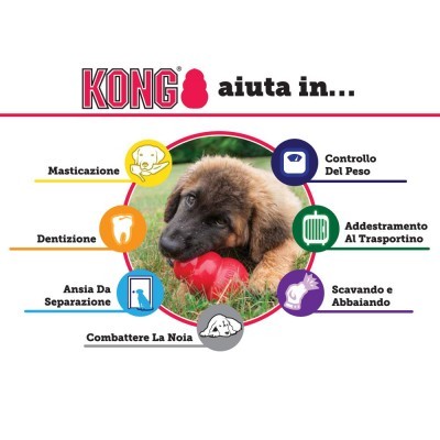 KONG Puppy