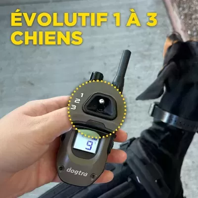 Dogtra 1200X 1 Cão (1900X) Versão UE