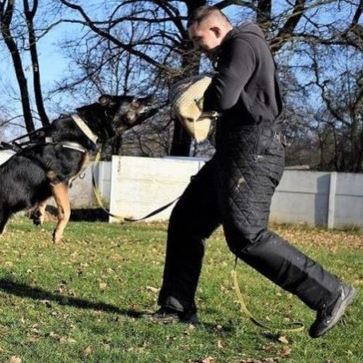 Fato de IGP/IPO DINGO GEAR