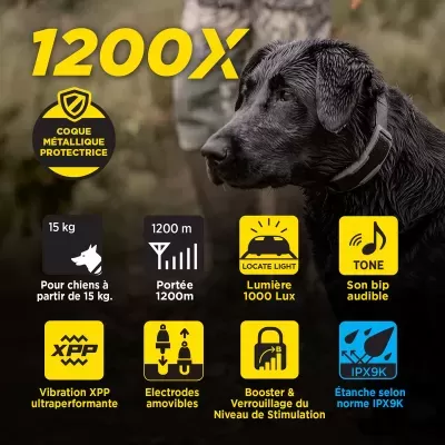 Dogtra 1200X 1 Cão (1900X) Versão UE
