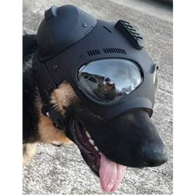 Capacete de proteção tático K9 + protetores auriculares MORIN PRO