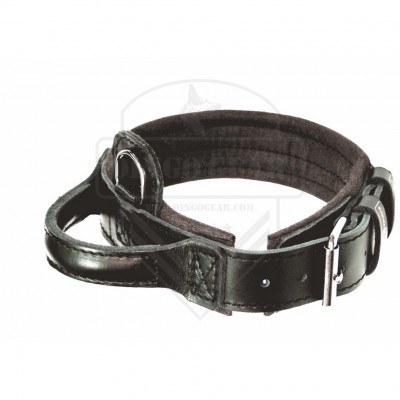 Coleira de couro com pega DRAGO DINGO GEAR
