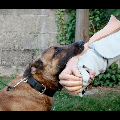 Braço falso completo tipo manga "SAS FULL" EXTREME K-9