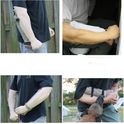 Braço falso com punho fechado EXTREME K-9