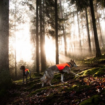 Colete PROTECTOR  da NON-STOP Dogwear