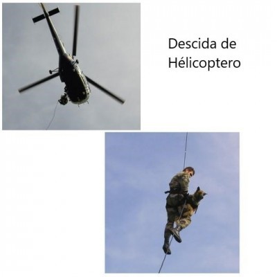 Arnês de Heli-Transporte PRO para cães MORIN