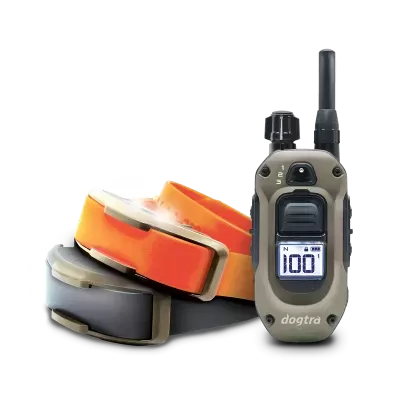 Dogtra 1200X 2 Cães (1900X) Versão UE