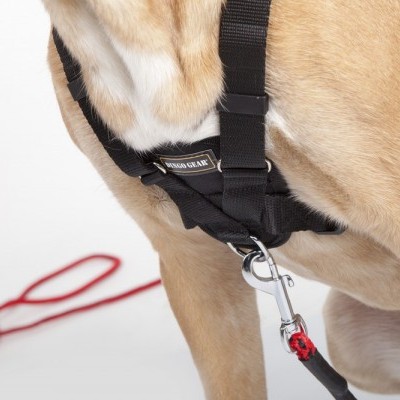 Arnês de busca WEDA DINGO GEAR