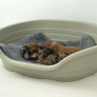 Berço de Plástico ou Parideira